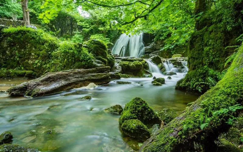 高效智慧